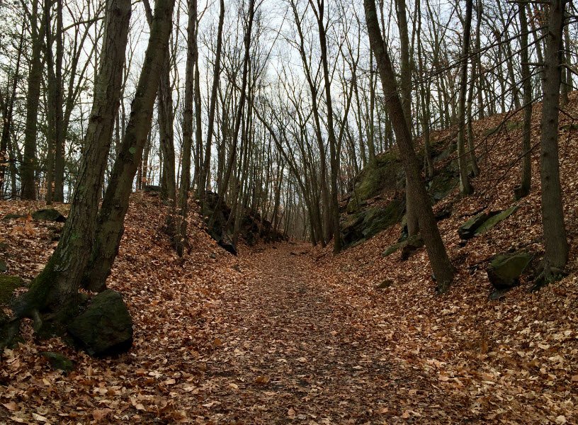 Whittemore Glen State Park Scenic Reserve, Connecticut, USA